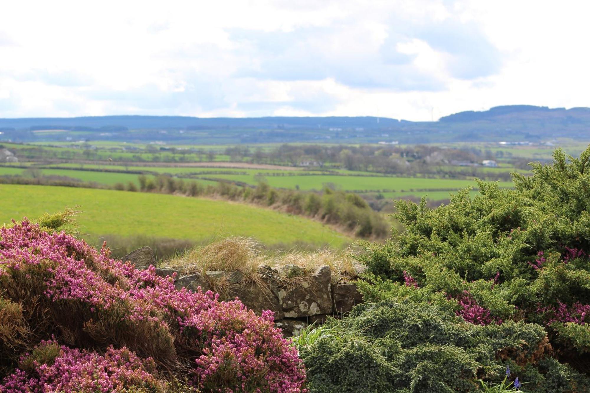 Carnalbanagh House Bed & Breakfast Portstewart